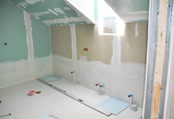 Professional Mold Removal in Anacoco, LA